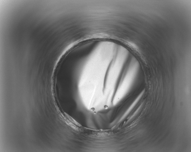 X0000064771326200602241938