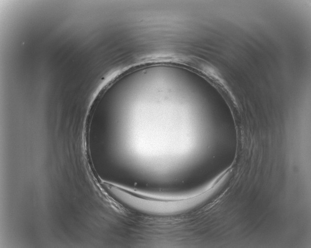 X0000064771328200602241939