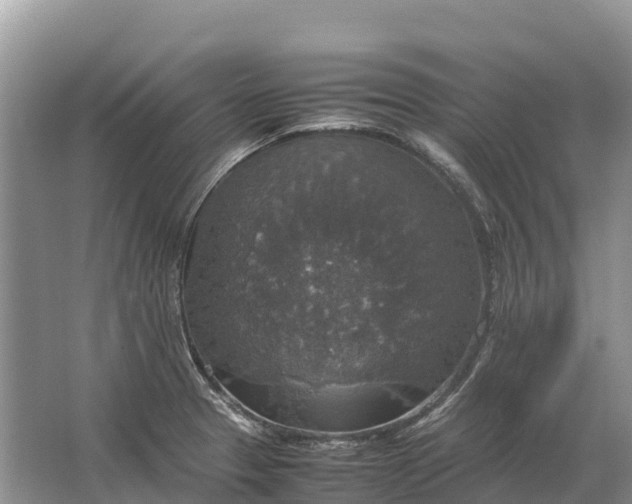 X0000064771329200602241939