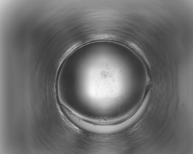 X0000064771330200602241939