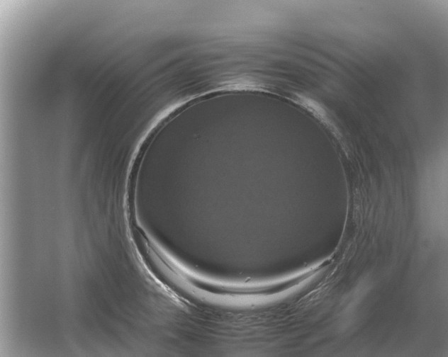 X0000064771331200602241939