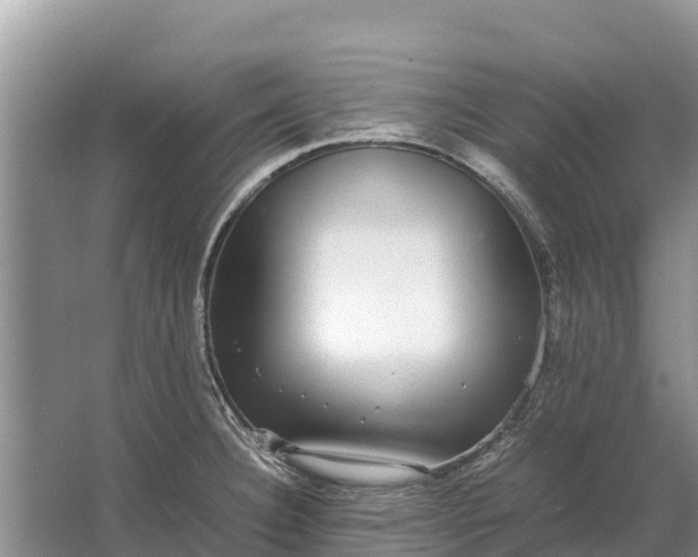 X0000064771332200602241939