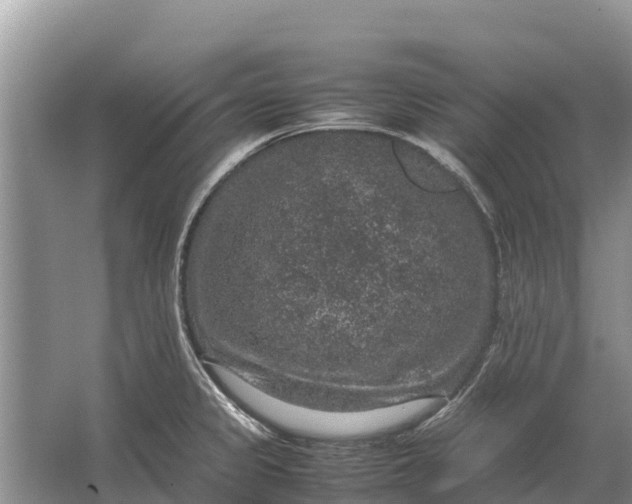 X0000064771333200602241939