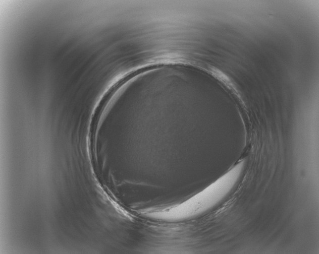 X0000064771334200602241939