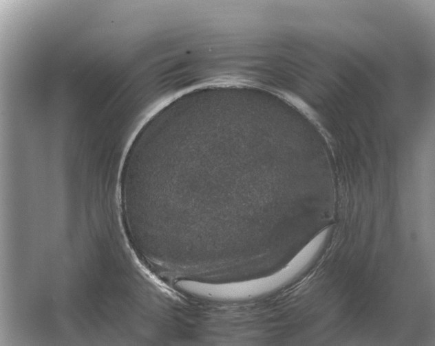 X0000064771335200602241939