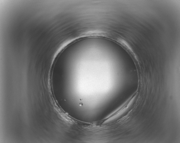 X0000064771336200602241939