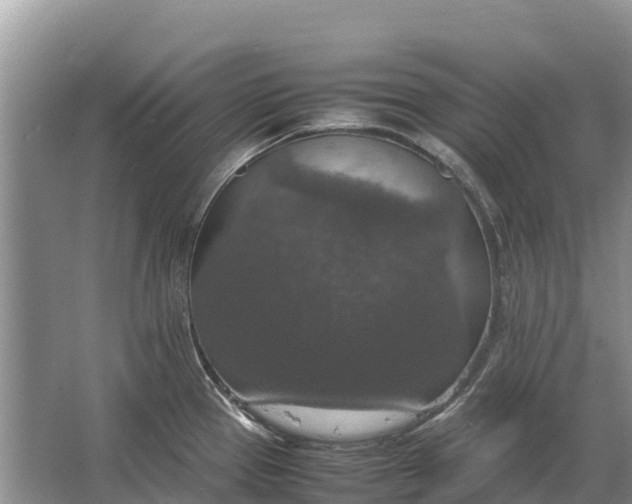 X0000064771337200602241939