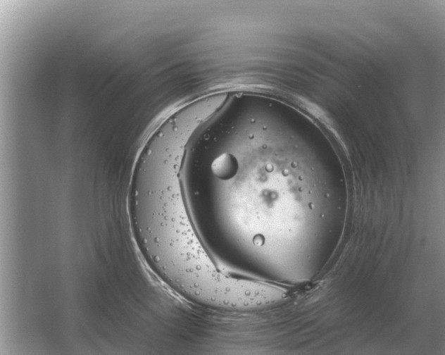 X0000064771338200602241939