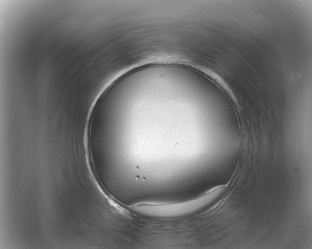 X0000064771343200602241939