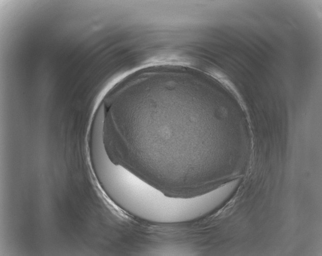 X0000064771344200602241939