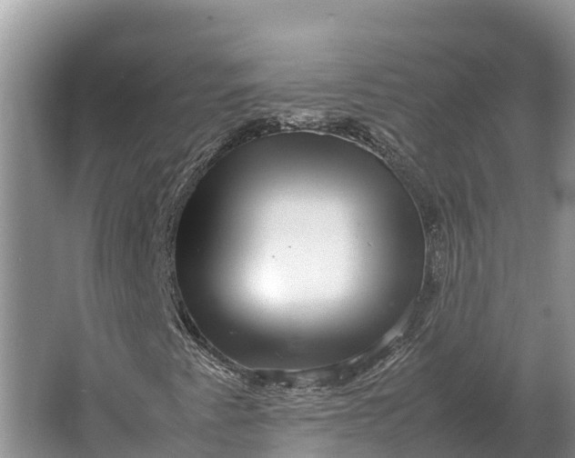 X0000064771345200602241938