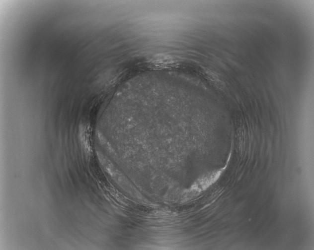 X0000064771346200602241938