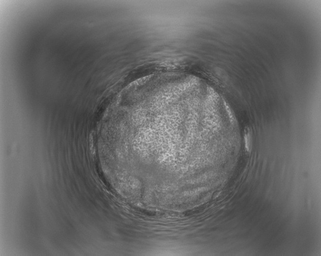 X0000064771347200602241938