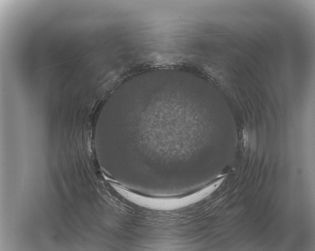 X0000064771348200602241938