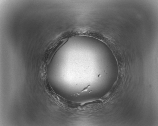 X0000064771349200602241938