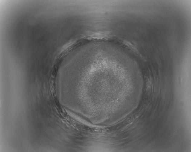 X0000064771350200602241938