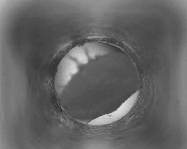 X0000064771351200602241938