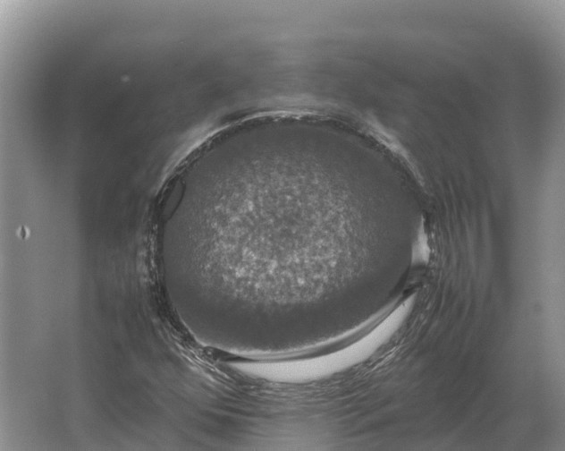 X0000064771352200602241938