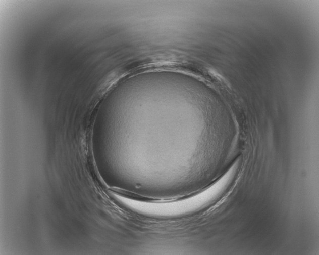 X0000064771353200602241938