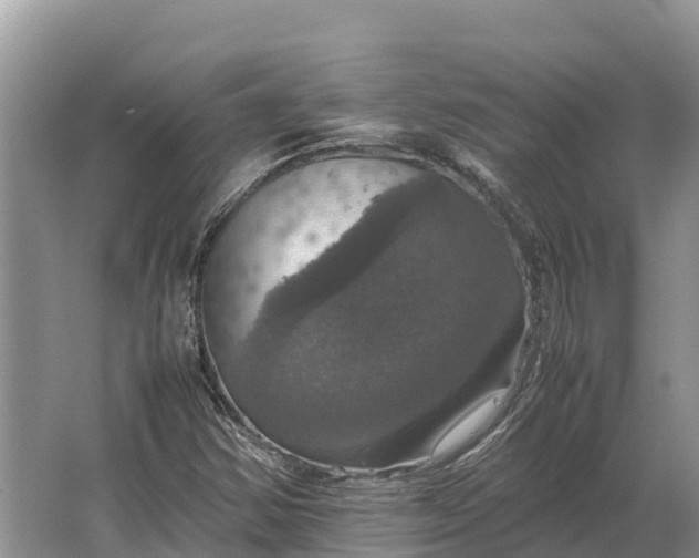 X0000064771354200602241938