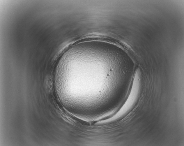 X0000064771355200602241937