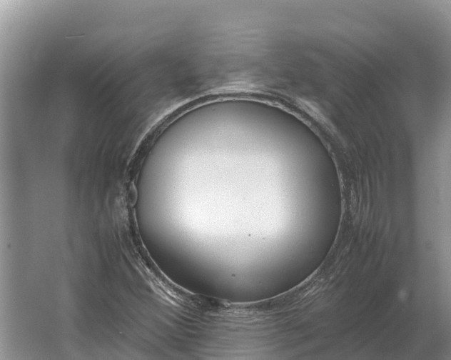 X0000064771356200602241937