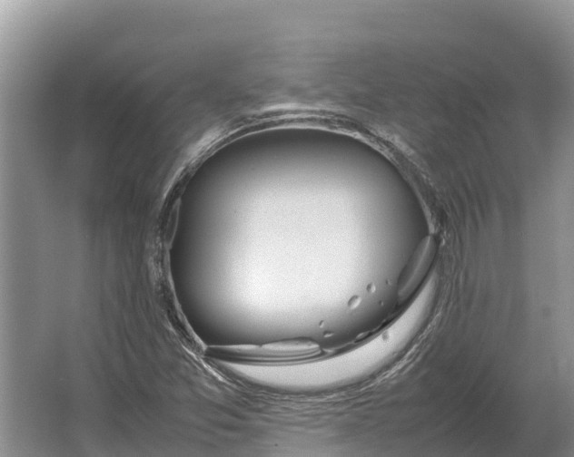 X0000064771357200602241937