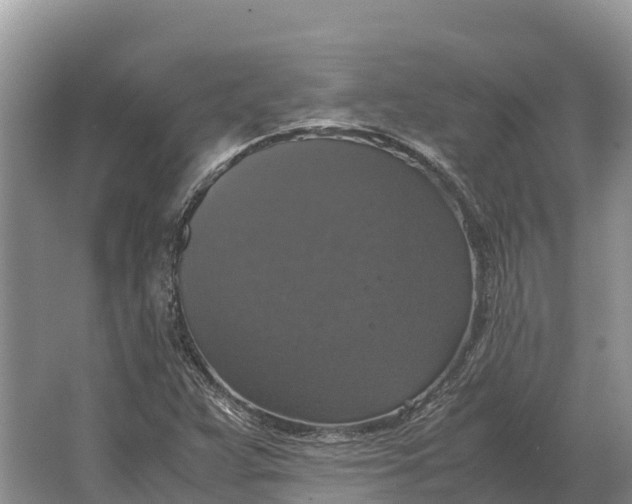 X0000064771359200602241937