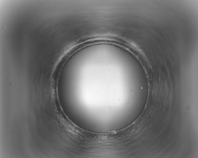 X0000064771360200602241937