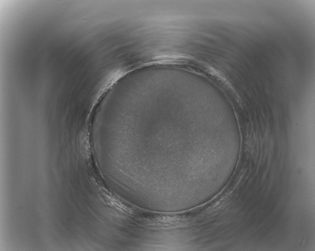 X0000064771362200602241937