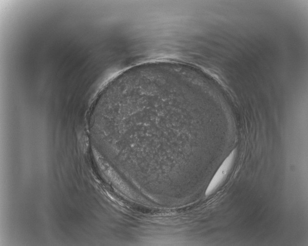 X0000064771363200602241937