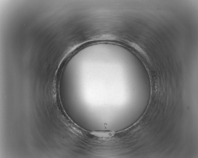 X0000064771364200602241937