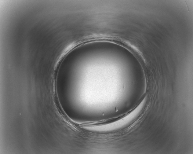 X0000064771365200602241937