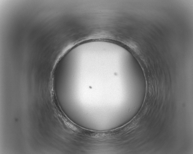 X0000064771366200602241937