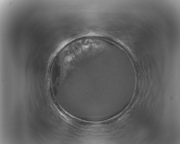 X0000064771367200602241937