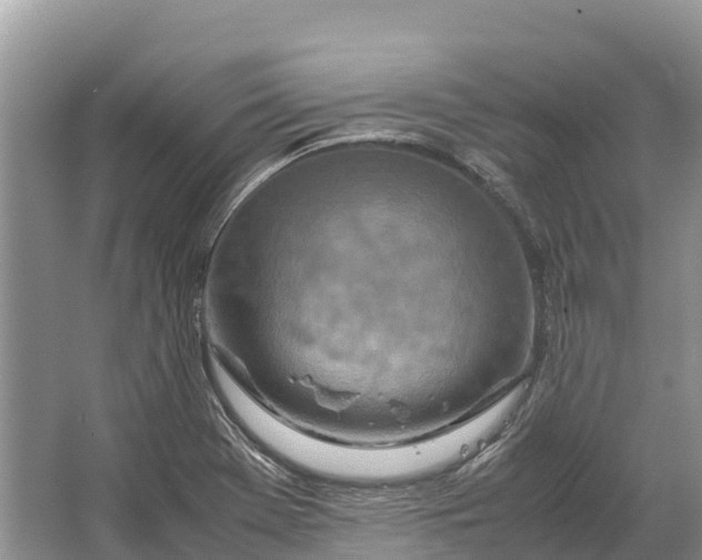 X0000064771369200602241937