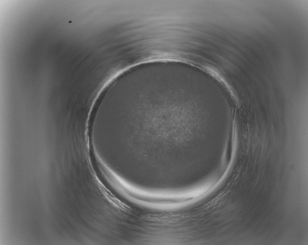 X0000064771372200602241937