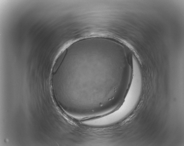 X0000064771373200602241937