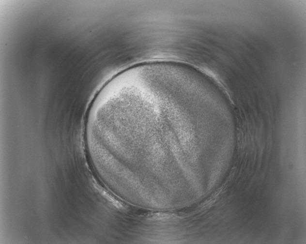 X0000064771374200602241937