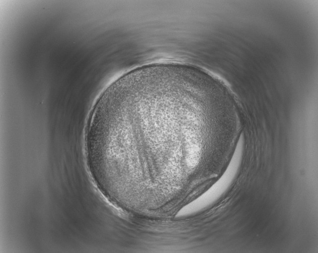 X0000064771375200602241937