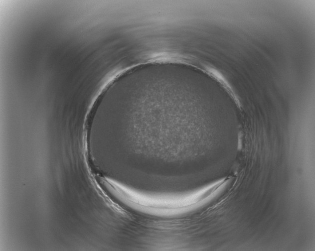 X0000064771376200602241937