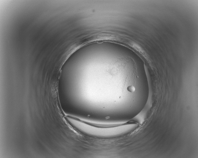 X0000064771377200602241937