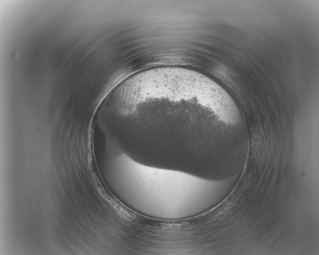 X0000064771378200602241937