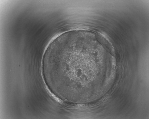 X0000064771379200602241937