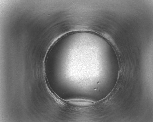 X0000064771380200602241937