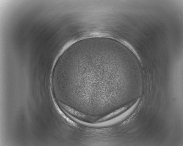 X0000064771381200602241937