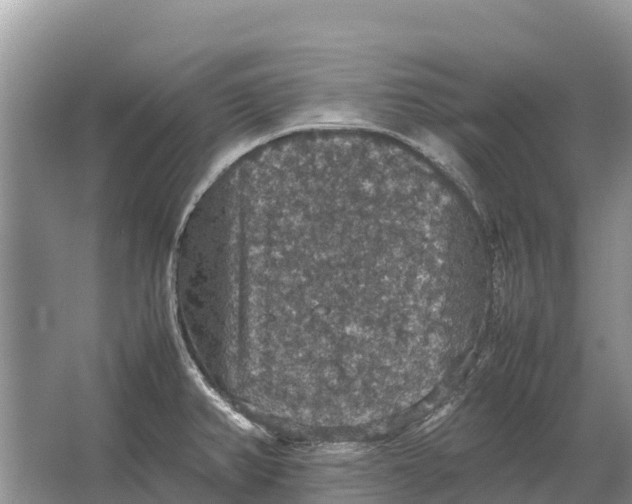 X0000064771382200602241937