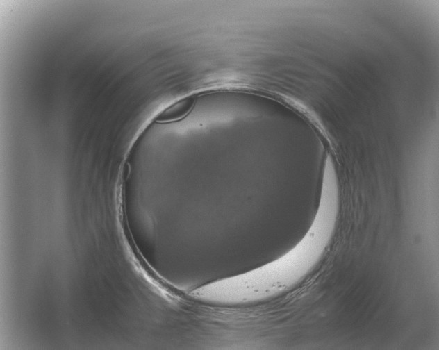 X0000064771383200602241937