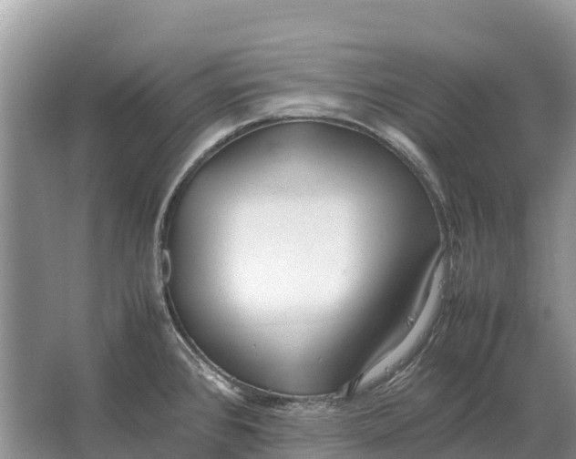 X0000064771384200602241937