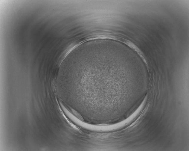 X0000064771385200602241937